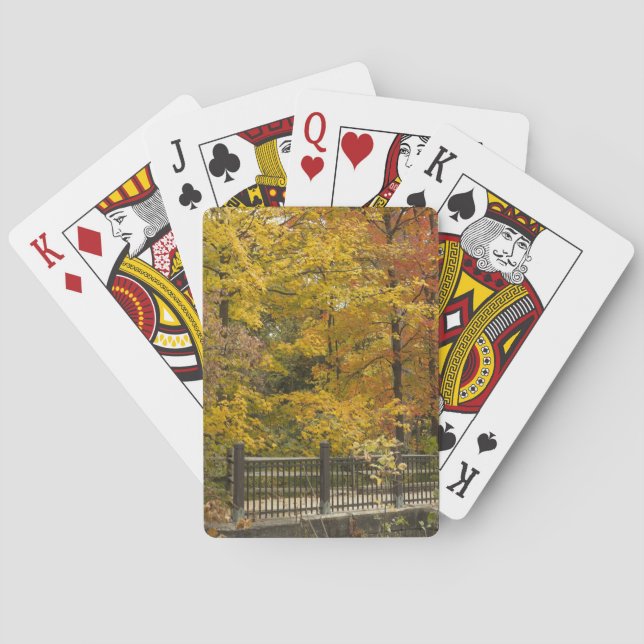 Jeu De Cartes a (dos)