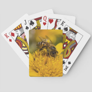 Jeu De Cartes Abeille africaine de miel avec l'alimentation de