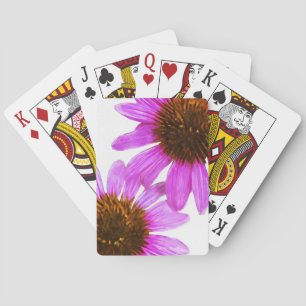 Jeu De Cartes Abrégé sur pourpre fleur d'echinacée