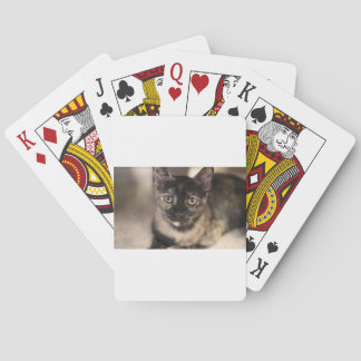 Jeu De Cartes ADOPTER Tiffany