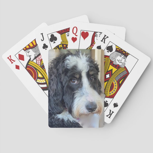Jeu De Cartes Adorable Bernedoodle (dos)
