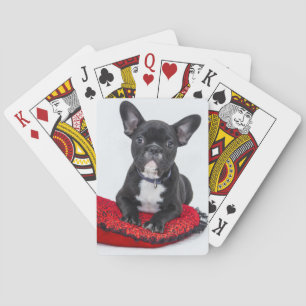Jeu De Cartes Adorable Black and White Bulldog Puppy Photo