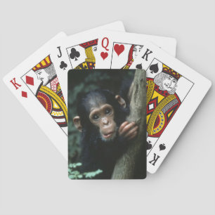 Jeu De Cartes Afrique, Afrique orientale, Tanzanie, Gombe Nation