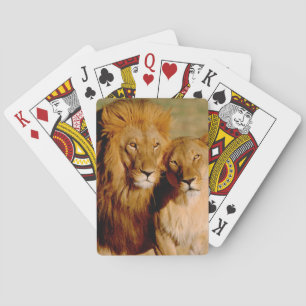 Jeu De Cartes Afrique, Namibie, Okonjima. Lion & lionne