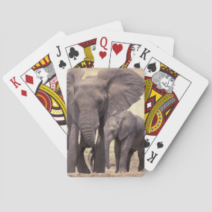 Jeu De Cartes Afrique, Tanzanie, Parc national de Tarangire. 2
