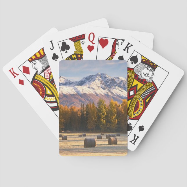 Jeu De Cartes Agriculture de l'Alaska (dos)