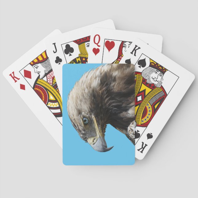 Jeu De Cartes Aigle (dos)