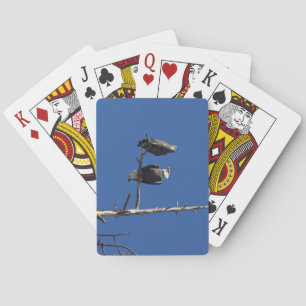 Jeu De Cartes Aigles chauds
