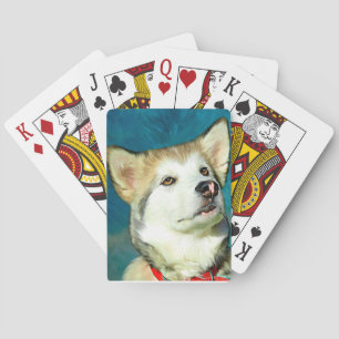 Jeu De Cartes Alaskan Malamute Dog Art