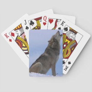 Jeu De Cartes Alaskan Timber Wolf