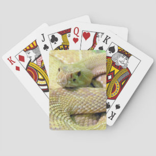 Jeu De Cartes Albino Rattlesnake Vélo Jouer Cartes