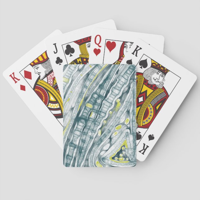 Jeu De Cartes Algues Sous Verre (dos)