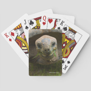 Jeu De Cartes Alimentation de tortue d'Aldabra