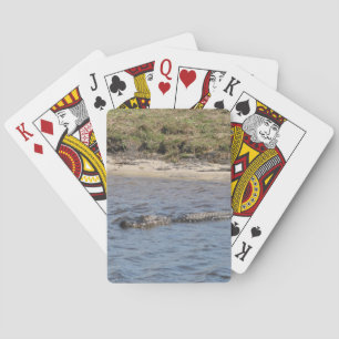 Jeu De Cartes Alligator Sauvage au Bord de la Rivière – Faune de