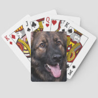 Alsacien de chien de berger d'Allemand de cartes