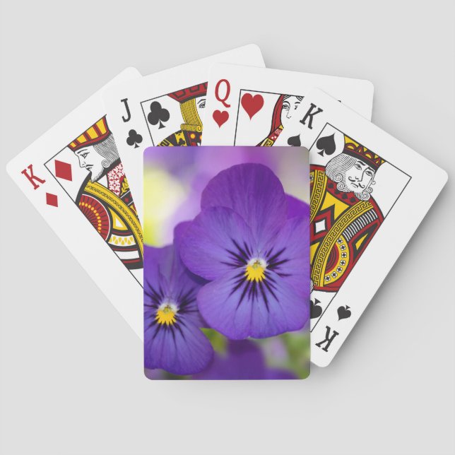 Jeu De Cartes Altos pourpres (dos)