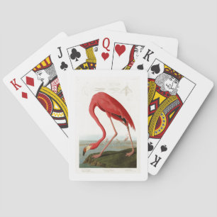 Jeu De Cartes American Flamingo John Audubon Birds of America