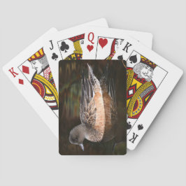 Jeu De Cartes American Wigeon sur Pond Wildlife Photo