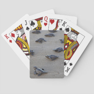 Jeu De Cartes Amérique centrale, Salvador, Océan Pacifique