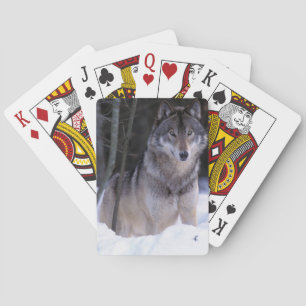 Jeu De Cartes Amérique du Nord, Canada, Est du Canada, Loup gris