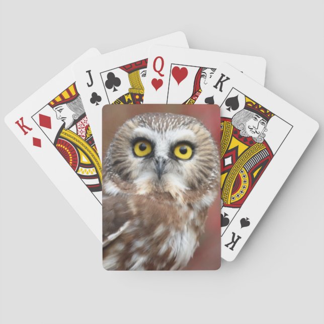 Jeu De Cartes Amis (dos)