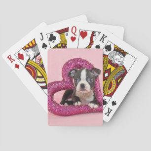 Jeu De Cartes Amour de chiot des images   de Getty