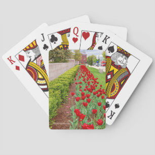 Jeu De Cartes Ampoules de Haupt
