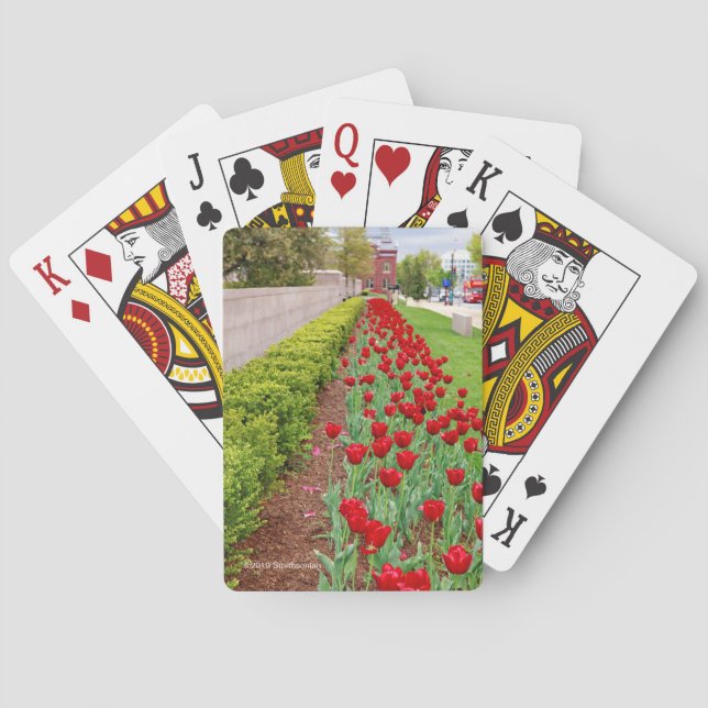 Jeu De Cartes Ampoules de Haupt (dos)