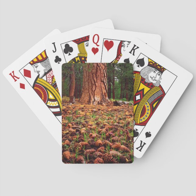Jeu De Cartes Ancien arbre de Ponderosa aux cônes de pins (dos)