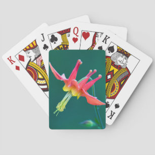 Jeu De Cartes Ancolie rouge