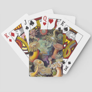 Jeu De Cartes Anémone de mer Nature scientifique Océan