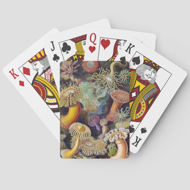 Jeu De Cartes Anémone de mer Nature scientifique Océan (dos)