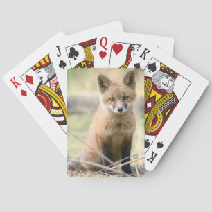 Jeu De Cartes Animaux de bébés cutest Baby Fox