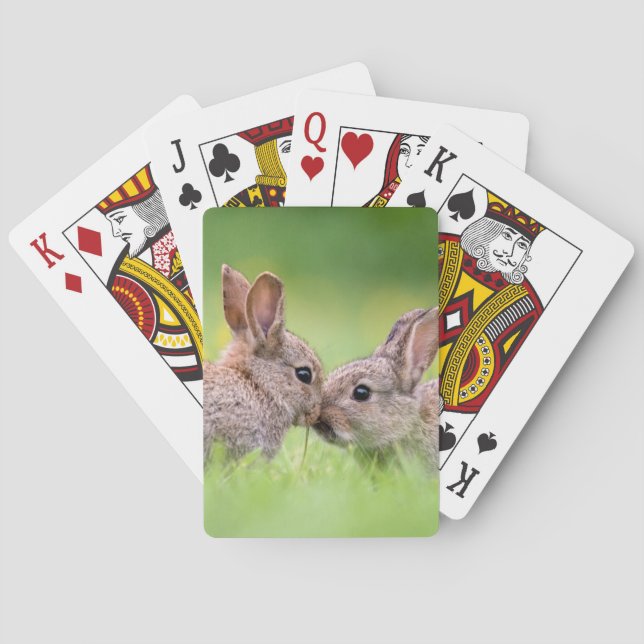 Jeu De Cartes Animaux de bébés cutest | Bunny Kiss (dos)