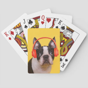 Jeu De Cartes Animaux de bébés cutest   Casques Terrier de Bosto