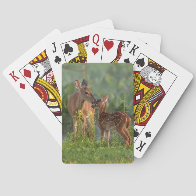 Jeu De Cartes Animaux de bébés cutest | Cerf et bébé (dos)