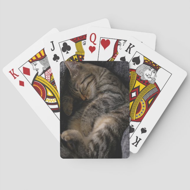 Jeu De Cartes Animaux de bébés cutest | Chat Tabby Dormant (dos)