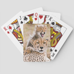 Jeu De Cartes Animaux de bébés cutest   Cheetah Cat & Cub