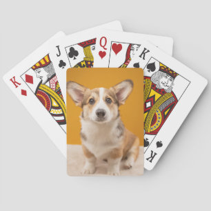 Jeu De Cartes Animaux de bébés cutest   Corgi Portrait sur Orang