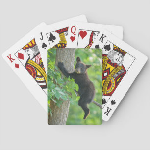 Jeu De Cartes Animaux de bébés cutest   Cube d'ours noir