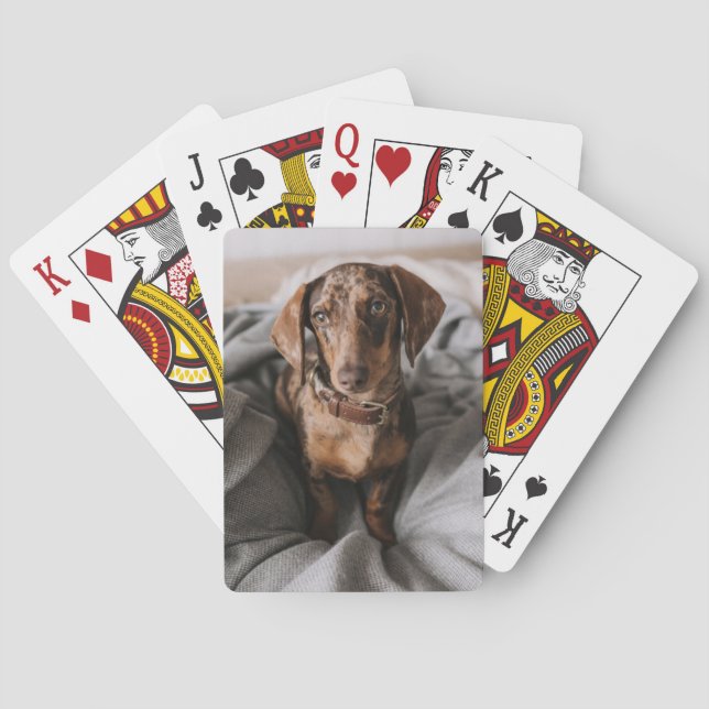 Jeu De Cartes Animaux de bébés cutest | Dachshund Dachshund Dach (dos)