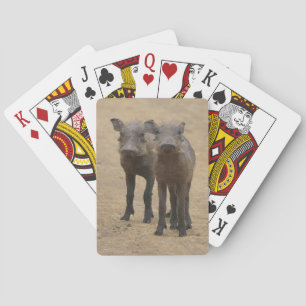 Jeu De Cartes Animaux de bébés cutest   Deux jeunes phacochères