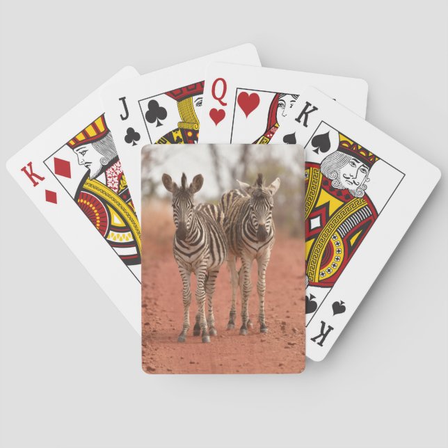 Jeu De Cartes Animaux de bébés cutest | Deux jeunes zèbres (dos)