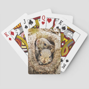 Jeu De Cartes Animaux de bébés cutest   Écureuils curieux