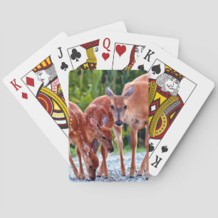 Jeu De Cartes Animaux de bébés cutest Fawn with Babies