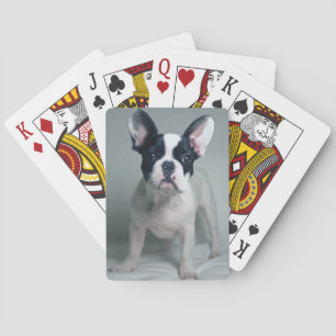 Jeu De Cartes Animaux de bébés cutest   French Bulldog Puppy