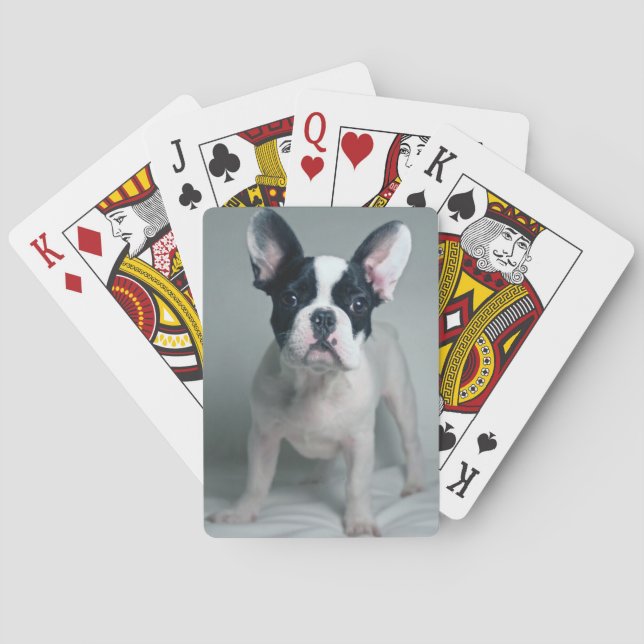 Jeu De Cartes Animaux de bébés cutest | French Bulldog Puppy (dos)