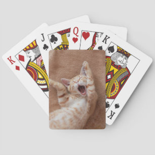 Jeu De Cartes Animaux de bébés cutest   Ginger Kitten Yawning