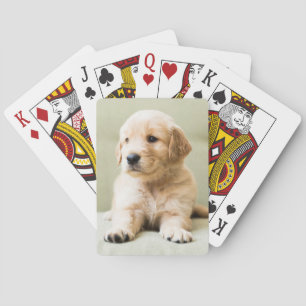 Jeu De Cartes Animaux de bébés cutest   Golden Retriever Puppy