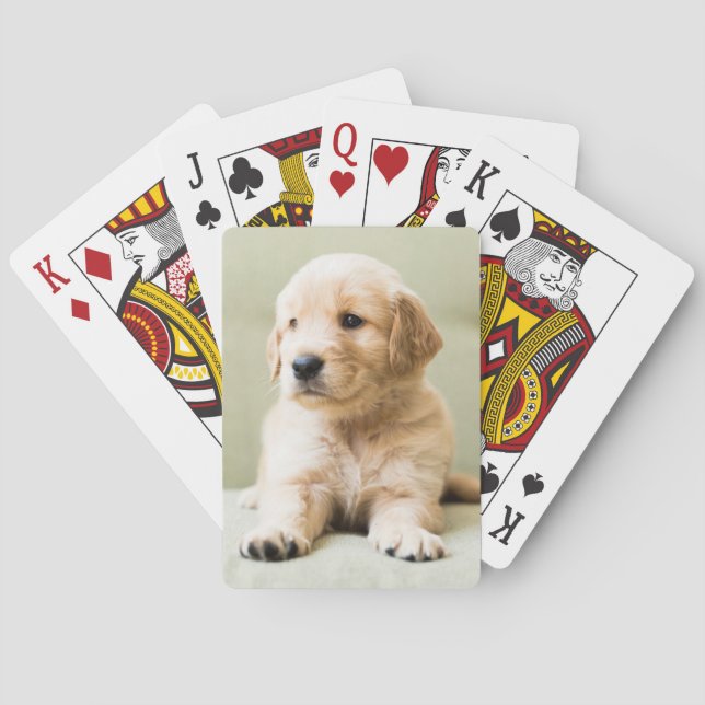Jeu De Cartes Animaux de bébés cutest | Golden Retriever Puppy (dos)